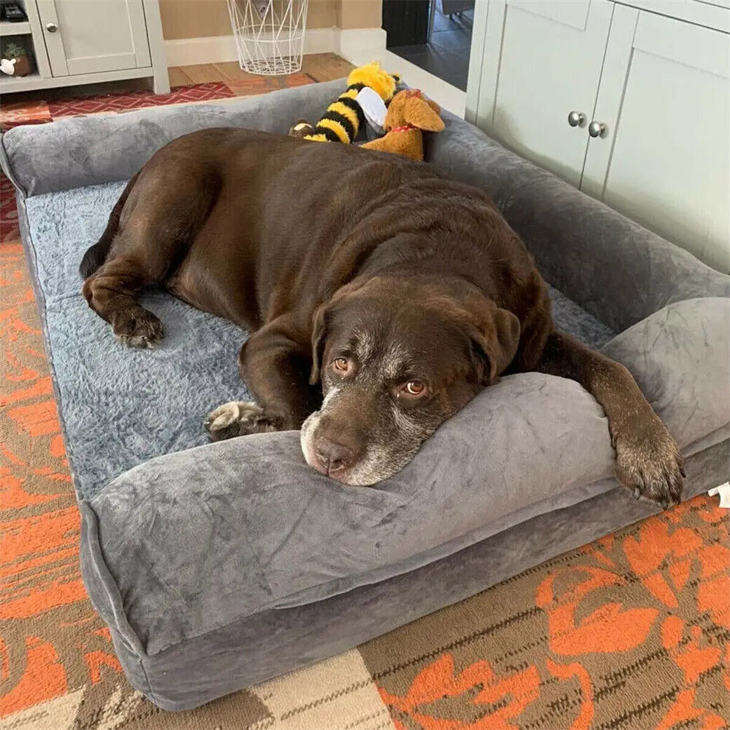 Dog Beds