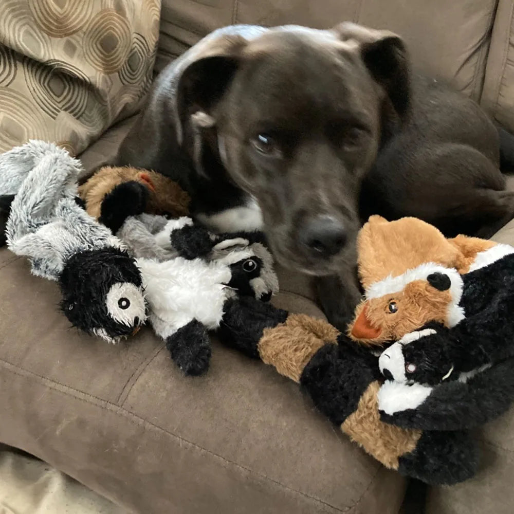 DENPAWS™ No-Stuffing Plush Squeaky Dog Toy