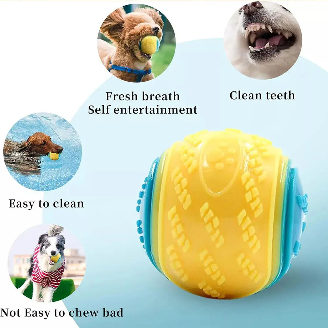 Scooby-Doo Squeaky Dog Balls Set of 8 – Durable Teeth Cleaning Interactive Toy